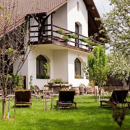Casa Mosului - Transfagarasan 4*